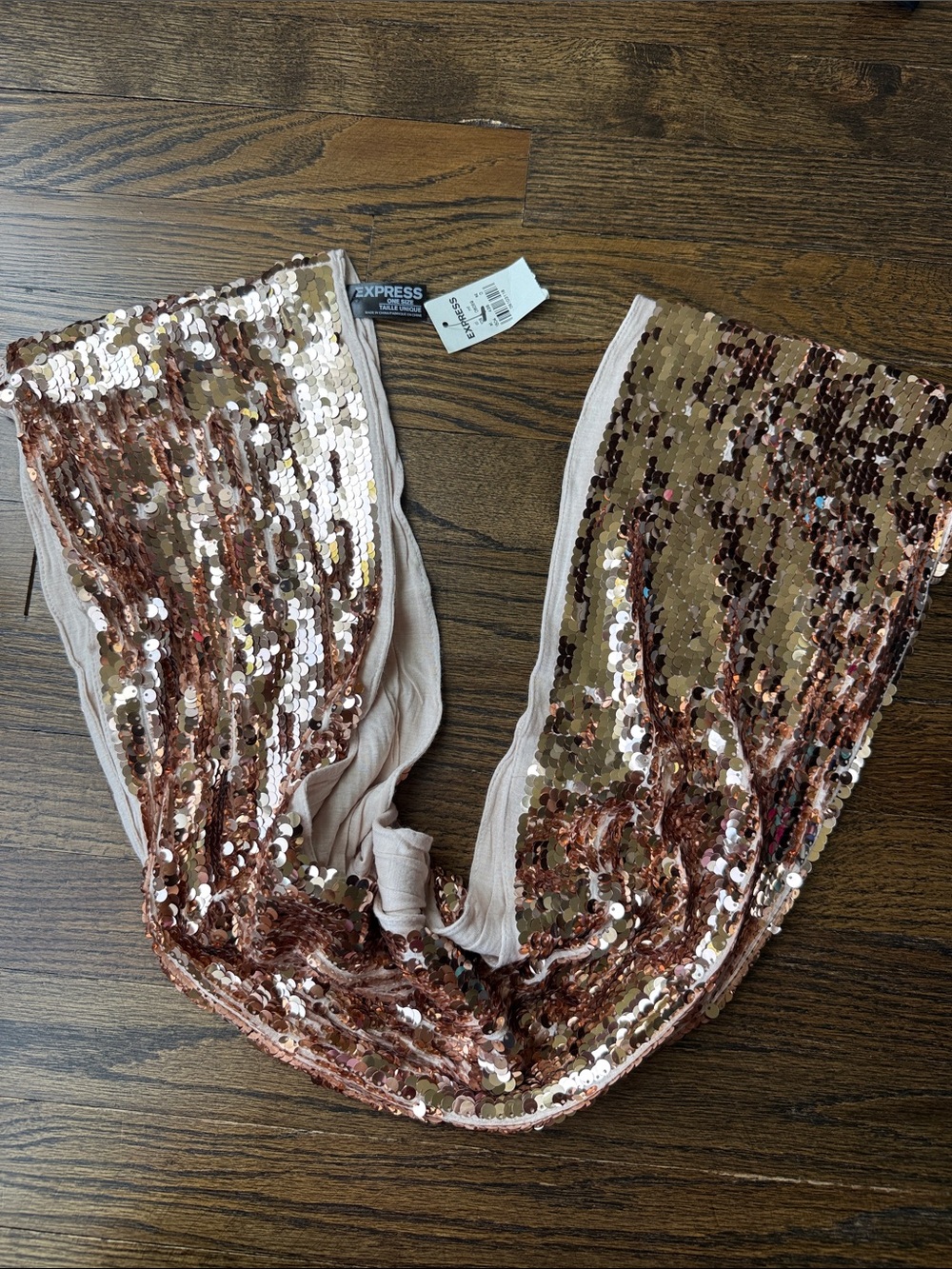 NWT express infinity scarf